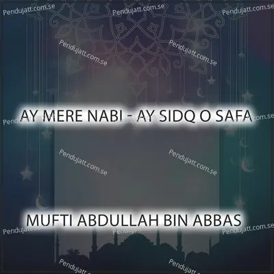 Ay Mere Nabi - Ay Sidq O Safa - Mufti Abdullah Bin Abbas album cover 