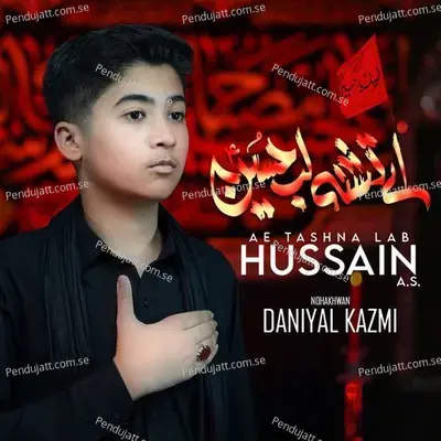 Ay Tashna Lub Hussain - Daniyal Kazmi album cover 