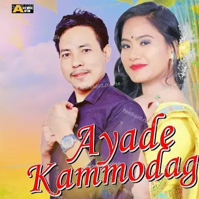 Ayade Kammodag - Sisu Narah album cover 