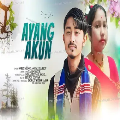 Ayang Akun - NAREN MEDOK album cover 