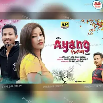 Ayang Par  ng - Rekha Doley Pegu album cover 