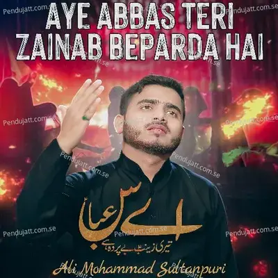 Aye Abbas Teri Zainab Be Parda Hai - Ali Mohammad Sultanpuri album cover 