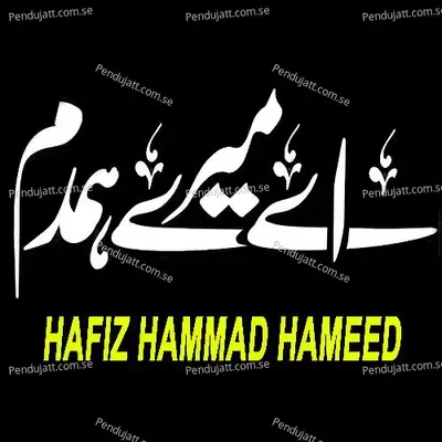 Aye Mere Hamdam - Hafiz Hammad Hameed album cover 