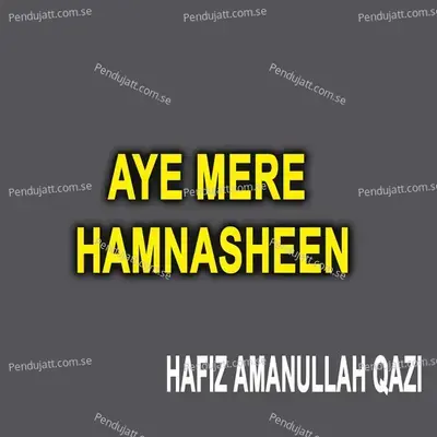 Aye Mere Hamnasheen - Hafiz Amanullah Qazi album cover 