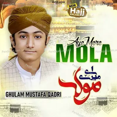 Aye Mere Mola - Ghulam Mustafa Qadri album cover 