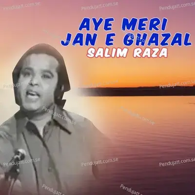 A Ja Dil Ghabraye - Salim Raza album cover 