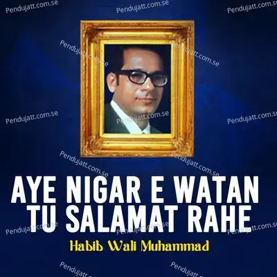 Aye Nigar E Watan Tu Salamat Rahe - Habib Wali Muhammad album cover 