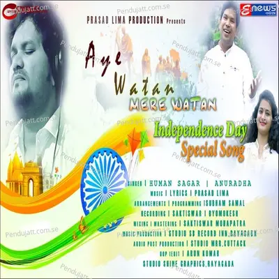 Aye Watan Mere Watan - Anuradha Panigrahi album cover 