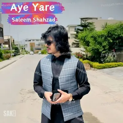 Aye Mehrana - Saleem Shahzad album cover 