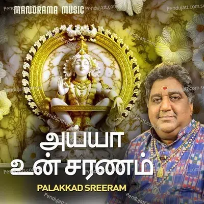 Ayya Un Saranam - Palakkad Sriram album cover 