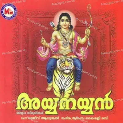 Panthalathu Dasanayi - Kairali Ravi album cover 