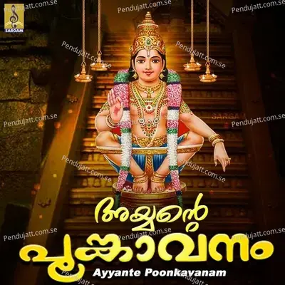 Malayalakarayilayi - Binu Anand album cover 