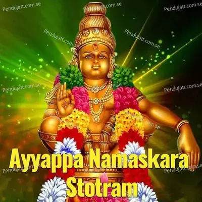 Ayyappa Namaskara Stotram - Veeramani Kannan album cover 