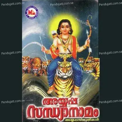 Ayyappa Sandhyanaamam - Various Artists cover album