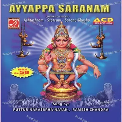 Ayyappa Namasmaranam - Warangal Shankar album cover 