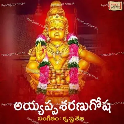 Ayyappa Ayyappa - Parthasaradhi album cover 