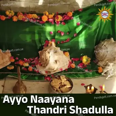Ayyo Naayana Thandri Shadulla - Anil Kumar album cover 