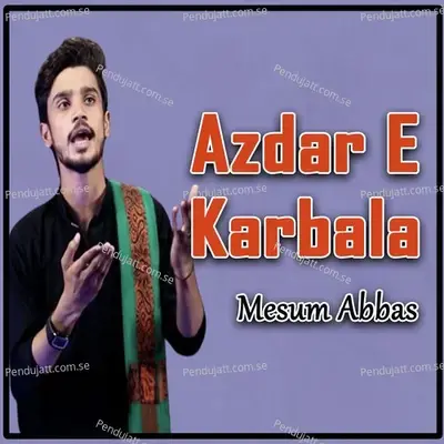 Azdar E Karbala - Mesum Abbas album cover 