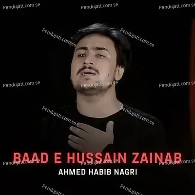 Baad E Hussain Zainab - Ahmed Habib Nagri album cover 