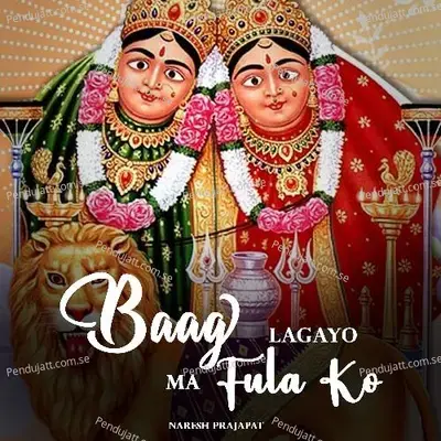 Baag Lagayo Ma Fula Ko - Naresh Prajapat album cover 