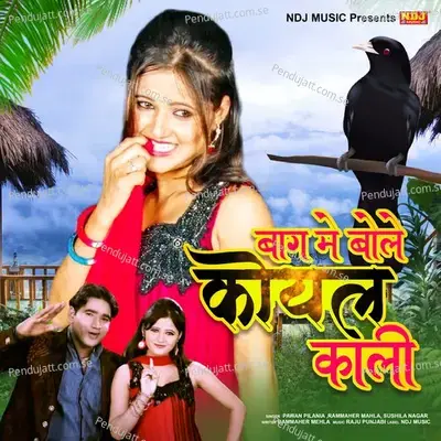 Baagh Me Bole Koyal Kali - Pawan Pilania album cover 