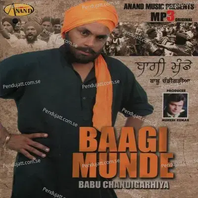 Naam Japlai - Babu Chandigarhiya album cover 