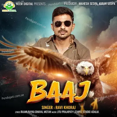 Baaj Ravi Khoraj - Ravi Khoraj album cover 