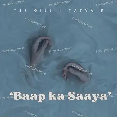 Baap Ka Saaya - Tej Gill album cover 