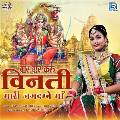 Baar Baar Karu Vinati Mari Jagdumbe Maa - Twinkal Vaishnav album cover 