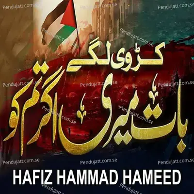 Baat Meri Agar Tumko Karwi Lage - Hafiz Hammad Hameed album cover 
