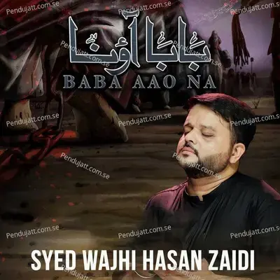 Baba Ao Na - Syed Wajhi Hasan Zaidi album cover 