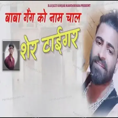 Baba Gang Ko Nam Chal Sher Tiger - Ranjeet Gurjar album cover 