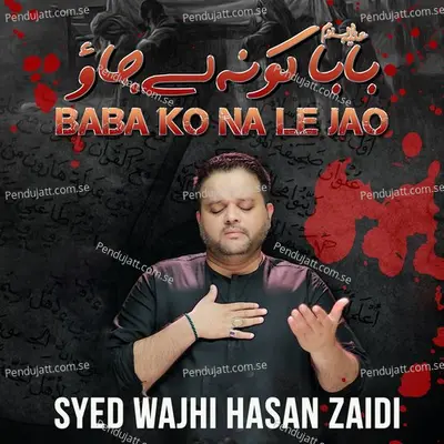 Baba Ko Na Le Jao - Syed Wajhi Hasan Zaidi album cover 