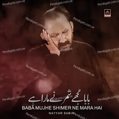 Allah Hu Akbar - Nayyar Sabir album cover 