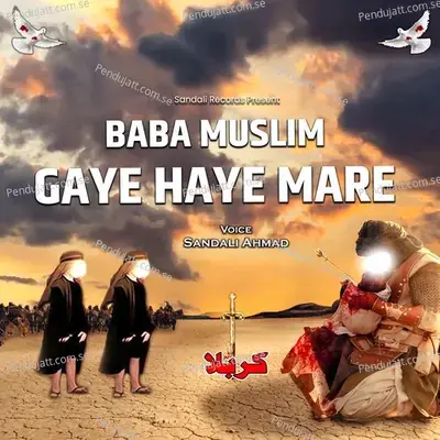 Baba Muslim Gaye Haye Mare - Sandali Ahmad album cover 