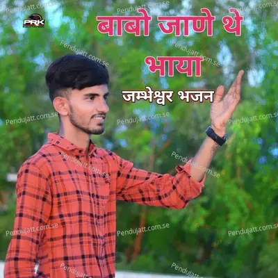 Babo Jane The Bhaya - Dharmendra Bishnoi album cover 