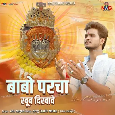 Babo Parcha Khub Dikhave - Anil Nagori album cover 