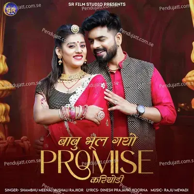 Babu Bhul Gayo Promise Kariyodi - Shambhu Meena album cover 