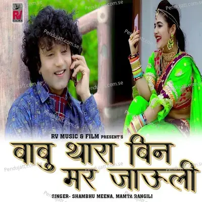 Babu Thara Bin Mar Jauli - Shambhu Meena album cover 