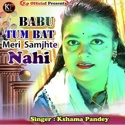 Babu Tum Baat Meri Samjhte Nahi - Kshama Pandey album cover 