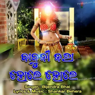 Babuji Jara Hole Hole - Bijendra Bhai album cover 