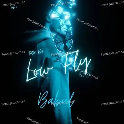 Babul - Low Fly - TaTvA K. album cover 