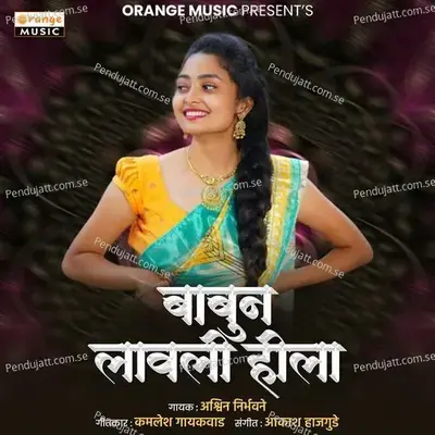 Babun Lavali Hila - Ashwin Nirbhavane album cover 