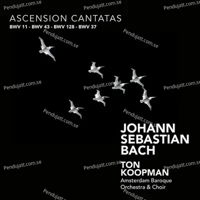 Quot Gott F  hret Auf Mit Jauchzen Quot   Bwv 43 - Amsterdam Baroque Orchestra album cover 