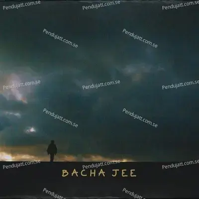 Bacha Jee - Irfan Khan album cover 