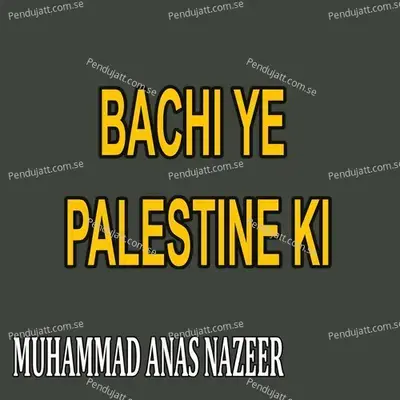 Bachi Ye Palestine Ki - Muhammad Anas Nazeer album cover 