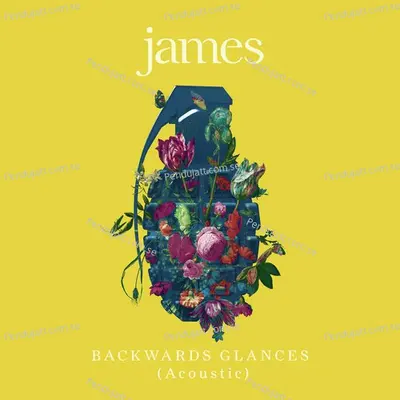 Backwards Glances (Acoustic) - James