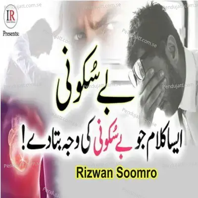 Nabi Kay Dulare Hussain O Hassan - Rizwan Soomro album cover 