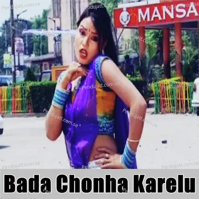 A Babuni Bada Chonha Karelu - Laxmi Deewana album cover 