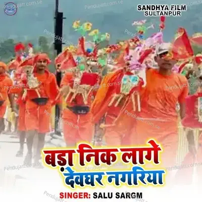 Bada Nik Lage Devghr Nagariya - Salu Sargm album cover 